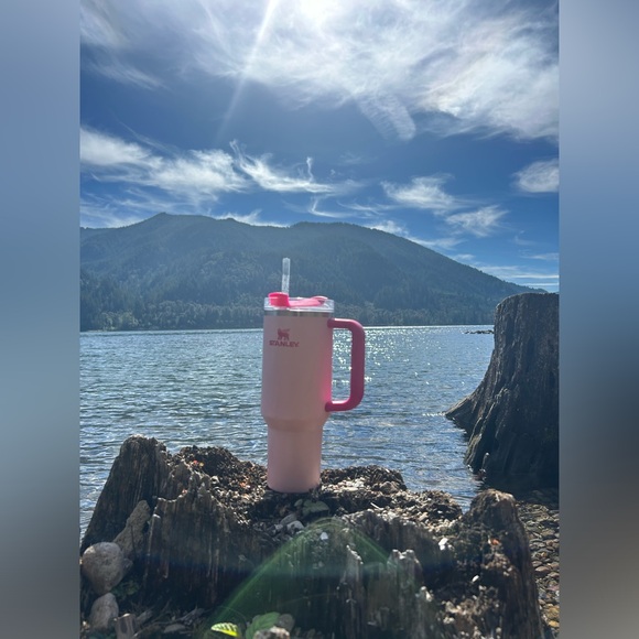 Stanley X Target Exclusive 40oz Flamingo Tumbler - Used | Color: Pink - Picture 4 of 4